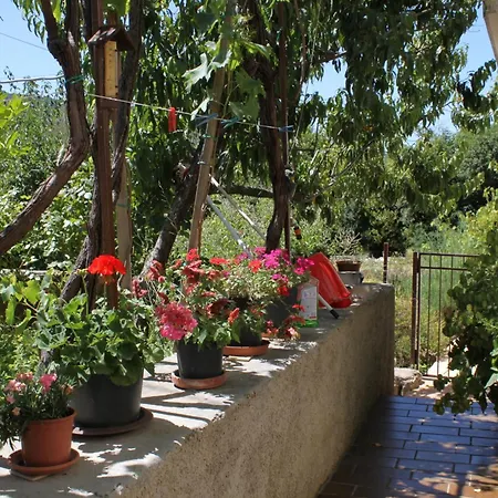 With Parking Space Veli Losinj, Losinj - 8060 *